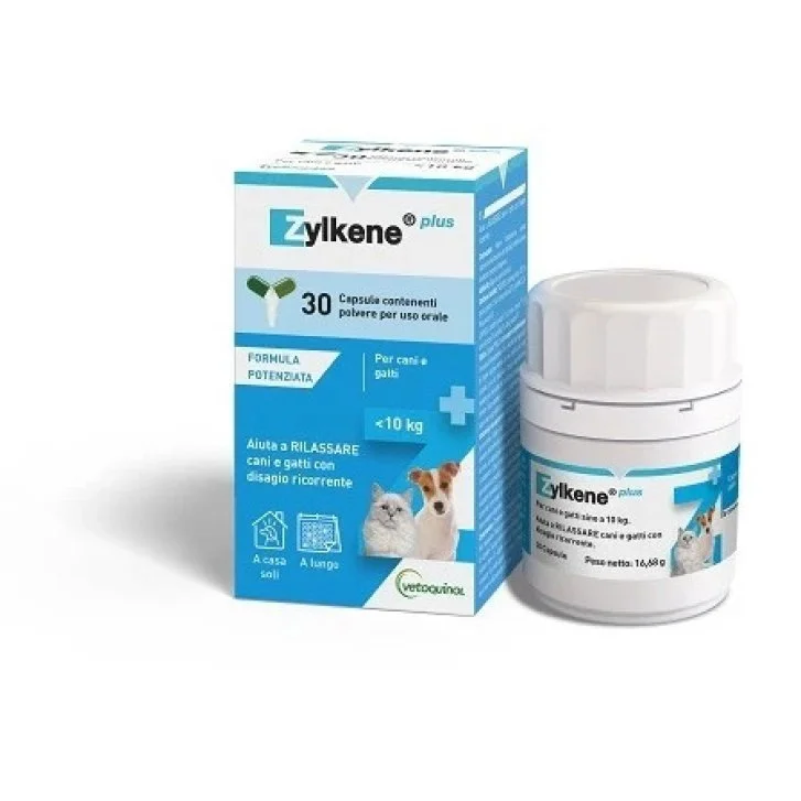epharmacy1575173