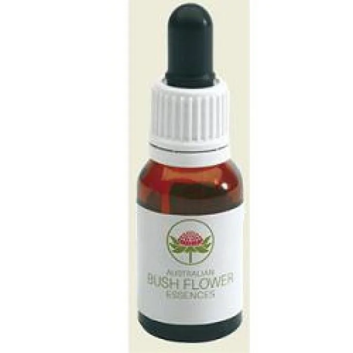 epharmacy1672044