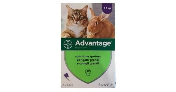 farma-web1184180