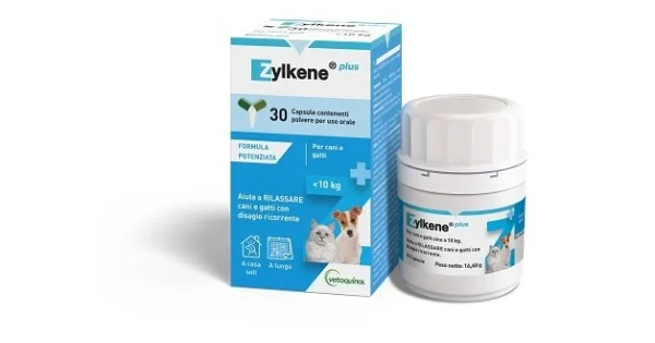 farmaciagaudiana-11562188