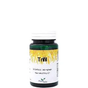 lovesano-21265750