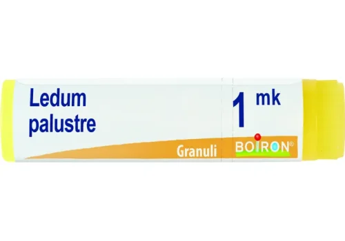 pharmasi-11365480